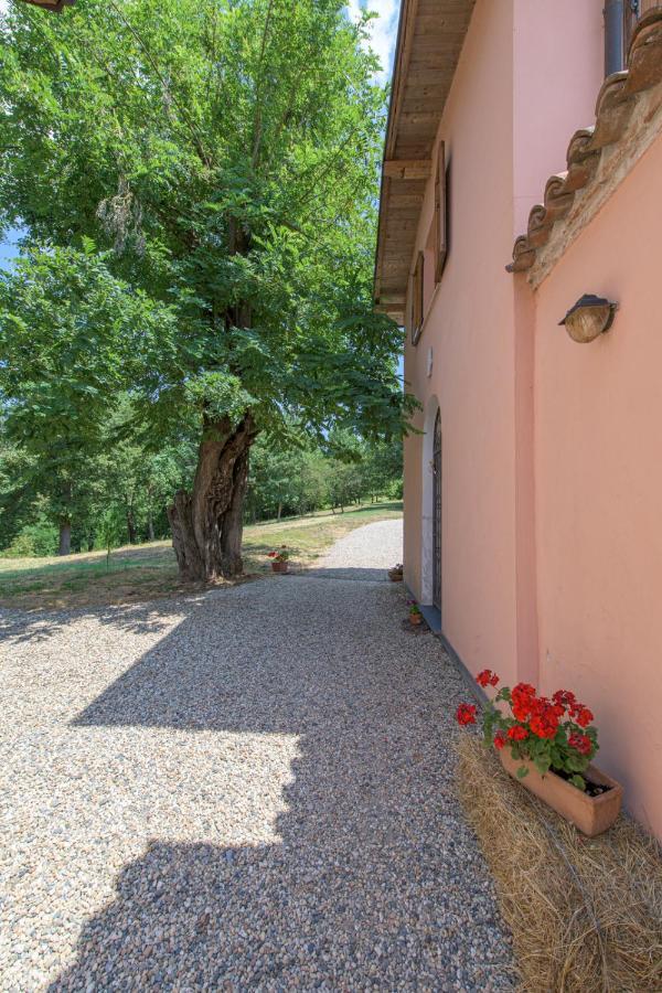 Tenuta Cascina Marenco Gavi Zewnętrze zdjęcie