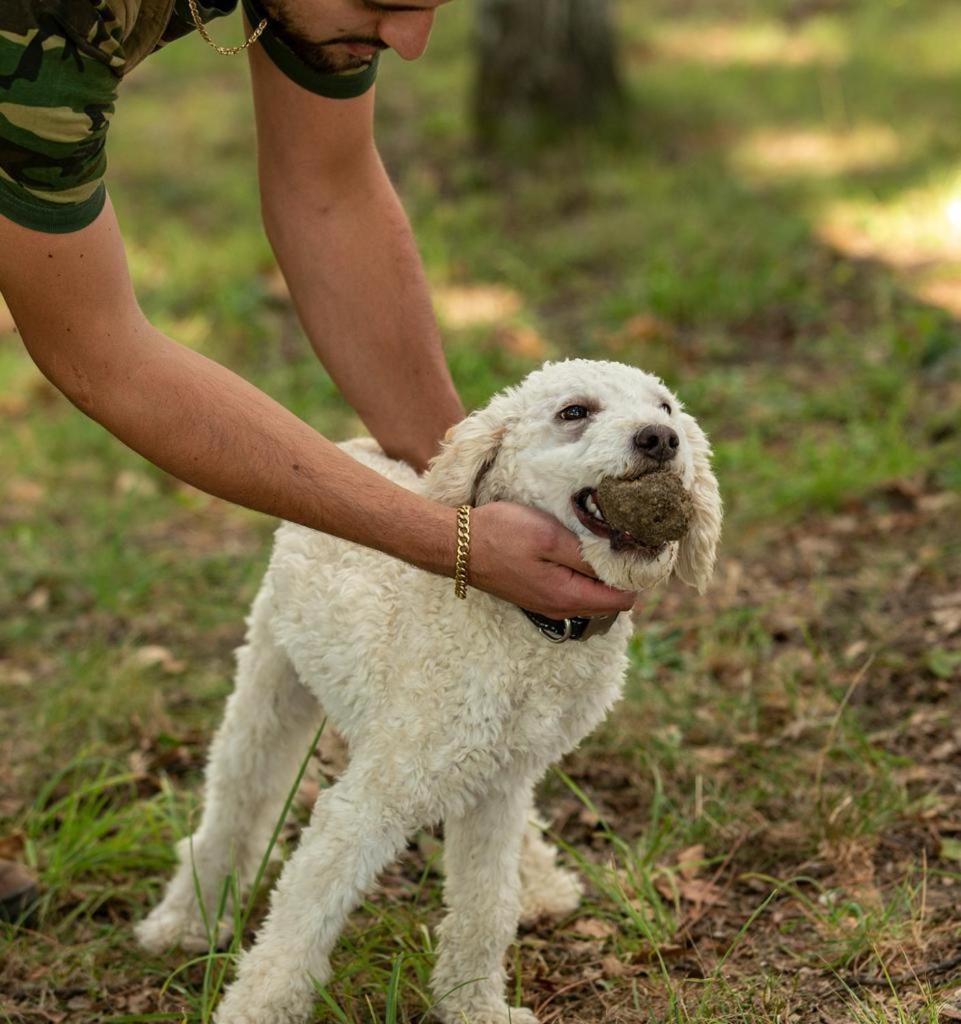 Tenuta Cascina Marenco Gavi Zewnętrze zdjęcie